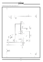 Preview for 30 page of ferolli TP3 LN Technical Manual - Installation - User And Maintenance