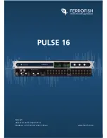 Предварительный просмотр 28 страницы Ferrofish PULSE 16 User Manual