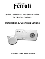 Ferroli 30800013 Installation & User'S Instructions preview