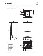 Предварительный просмотр 5 страницы Ferroli ARENA 30 C Installation And Operating Instructions Manual