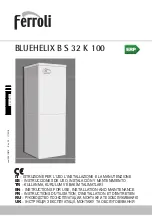 Предварительный просмотр 1 страницы Ferroli BLUEHELIX B S 32 K 100 Instructions For Use, Installation And Maintenance