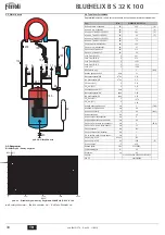 Предварительный просмотр 34 страницы Ferroli BLUEHELIX B S 32 K 100 Instructions For Use, Installation And Maintenance