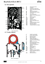 Preview for 53 page of Ferroli BlueHelix HiTech RRT C Instructions For Use, Maintenance And Installation Manual