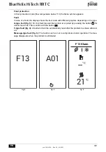 Preview for 301 page of Ferroli BlueHelix HiTech RRT C Instructions For Use, Maintenance And Installation Manual