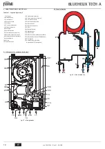 Preview for 10 page of Ferroli BLUEHELIX TECH 18 A Instructions For Use, Installation And Maintenance