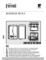 Ferroli BLUEHELIX TECH A Instructions For Use, Installation And Maintenance preview