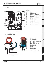 Предварительный просмотр 81 страницы Ferroli BLUEHELIX TOP RRT K 50 Manual