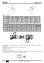 Предварительный просмотр 14 страницы Ferroli DIAMANT S Series Use And Maintenance Manual