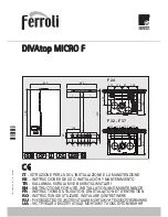 Ferroli DIVAtop MICRO F Instructions For Use, Installation And Maintenance предпросмотр