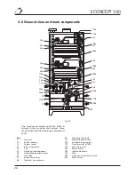 Предварительный просмотр 24 страницы Ferroli ECONCEPT 100 Instructions For Use, Installation And Maintenance