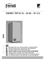 Ferroli ENERGY TOP W 125 Instructions For Use, Installation And Maintenance предпросмотр