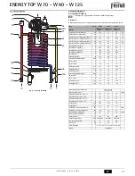 Preview for 13 page of Ferroli ENERGY TOP W 125 Instructions For Use, Installation And Maintenance