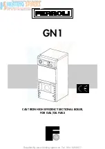 Preview for 1 page of Ferroli GNI User Manual