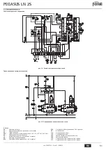 Preview for 51 page of Ferroli PEGASUS 119 LN 2S Instructions For Use, Installation And Maintenance