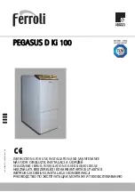 Ferroli PEGASUS D Ki 100 Instructions For Use Manual preview