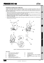 Предварительный просмотр 115 страницы Ferroli PEGASUS D Ki 100 Instructions For Use Manual