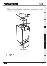 Предварительный просмотр 143 страницы Ferroli PEGASUS D Ki 100 Instructions For Use Manual