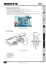 Предварительный просмотр 145 страницы Ferroli PEGASUS D Ki 100 Instructions For Use Manual