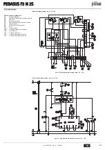 Предварительный просмотр 29 страницы Ferroli PEGASUS F3 N 2S Instructions For Use, Installation And Maintenance