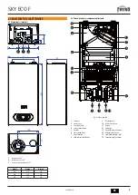 Preview for 29 page of Ferroli SKY ECO F 11 Instructions For Use, Installation And Maintenance