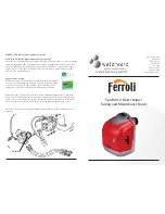 Ferroli Sun BU112 Tuning And Maintenance Manual preview