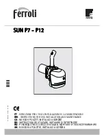 Ferroli SUN P12 Instructions For Use, Installation And Maintenance preview