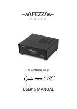 Fezz Audio Gaia mini MC User Manual предпросмотр