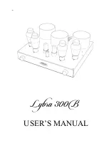 Fezz Audio Lybra 300 B User Manual предпросмотр