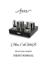 Fezz Audio Mira Ceti 300B User Manual предпросмотр