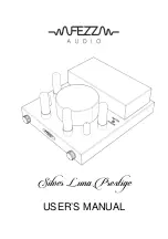 Fezz Audio Silver Luna Prestige User Manual предпросмотр