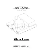 FezzAudio Silver Luna User Manual preview