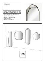 FIAM. PINCH PI/160 Product Information предпросмотр