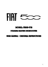 Fiat F500-F10 User Manual preview