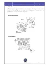 Предварительный просмотр 49 страницы Fiat Scudo 2009 Training Manual