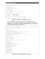 Preview for 25 page of FibroLAN GSM1010M User And Installation Manual