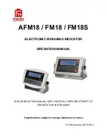 Fidelity Measurement AFM18 Operation Manual preview