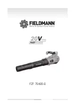 Fieldmann FZF 70605-0 User Manual preview