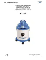 FIORENTINI F13F1 Operating Instructions Manual предпросмотр