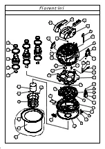 Предварительный просмотр 52 страницы FIORENTINI K44 Original Instructions Manual