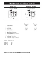 Предварительный просмотр 2 страницы Fiori P44I Instructions And Advice For The Use, Installation And Maintenance