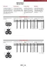 Preview for 24 page of FIP CM PVC-C Manual