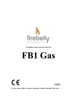 Preview for 1 page of Firebelly FB1 Gas Installation And Servicing Instructions