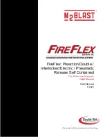 FireFlex Systems Inc. N2 BLAST Owner'S Operation & Maintenance Manual preview