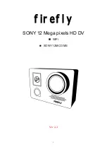 Firefly DVR603 Manual предпросмотр