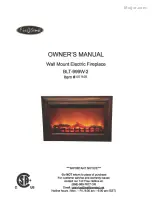 Firesense 60948 Owner'S Manual preview