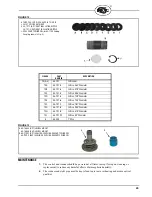 Preview for 29 page of Fireye 85IRF series Manual