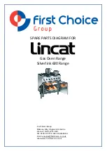 First Choice Lincat Silverlink 600 SLR6 Installation, Operating, Servicing And Conversion Instructions preview