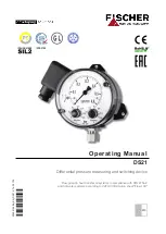 FISCHER DS21 Operating Manual preview