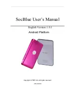 FISE SocBlue User Manual preview