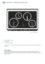 Предварительный просмотр 32 страницы Fisher & Paykel OR90SDBSIPX Installation Instructions And User Manual